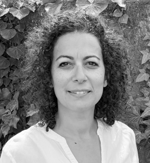 Dina Latek, Mediatorin